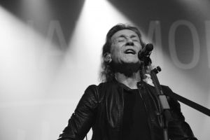 31154130 818597688349681 5283609969436917760 o 818597675016349