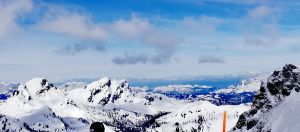 WhatsApp Image 2019 03 09 at 19.36.50  2 