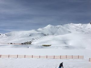 WhatsApp Image 2019 03 10 at 08.21.43